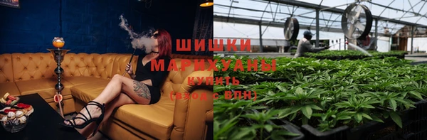 метадон Гусиноозёрск