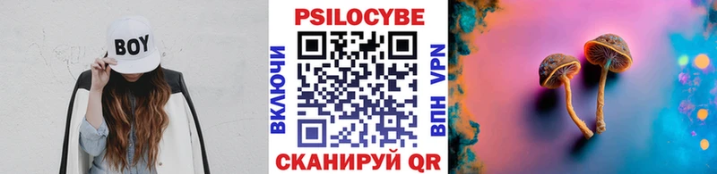 где можно купить наркотик  darknet состав  Галлюциногенные грибы Magic Shrooms  Железногорск-Илимский 